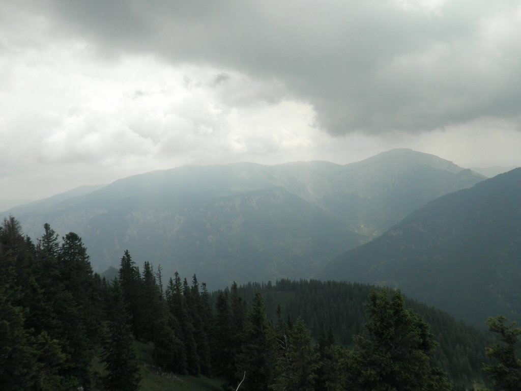 P7040045.JPG