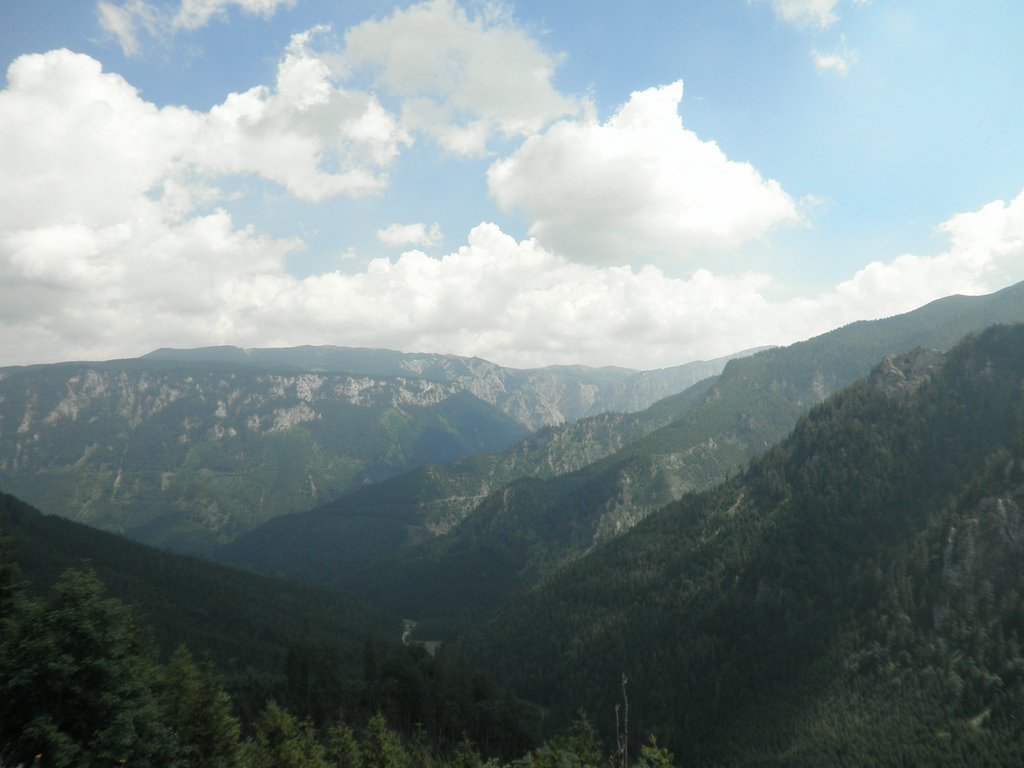 P7040083.JPG