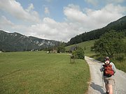 P7040003.JPG