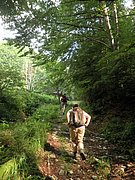 P7040005.JPG