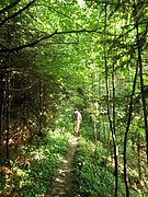 P7040007.JPG