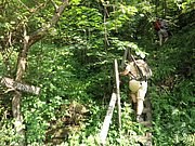 P7040008.JPG