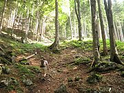 P7040010.JPG