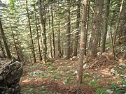 P7040012.JPG