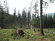 P7040030.JPG