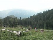 P7040033.JPG