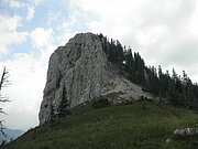 P7040041.JPG