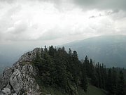 P7040046.JPG