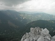P7040048.JPG