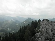 P7040050.JPG