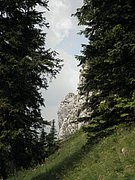 P7040057.JPG