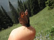 P7040062.JPG