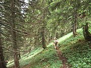 P7040072.JPG
