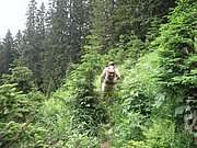P7040075.JPG
