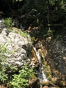 P7040079.JPG