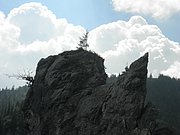 P7040089.JPG