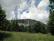 P7040092.JPG
