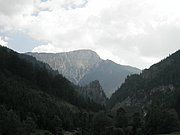 P7040097.JPG