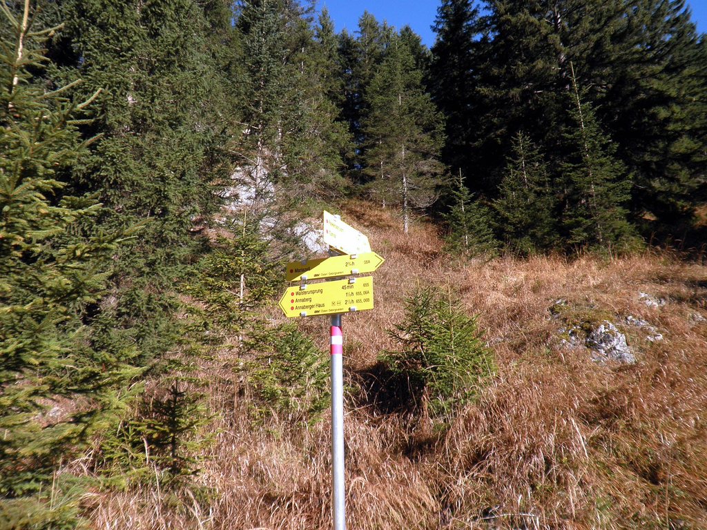 PB140003.JPG