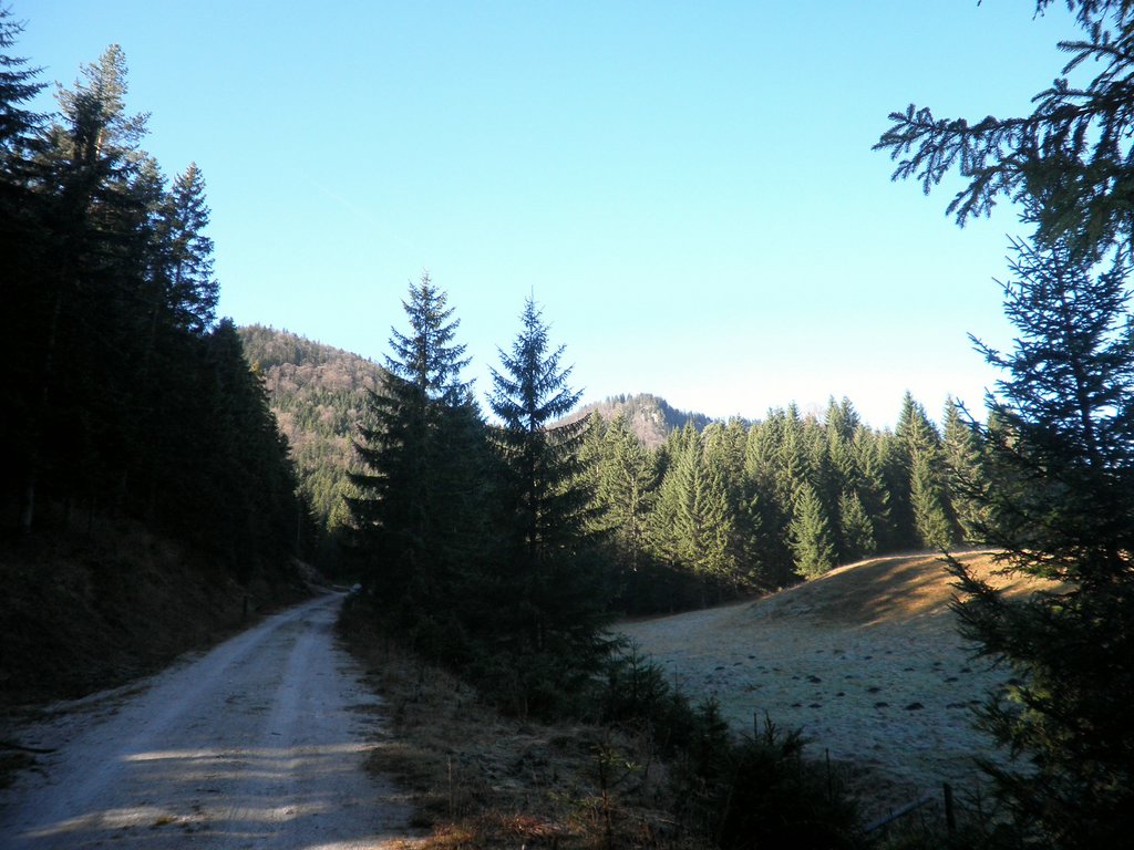 PB140006.JPG