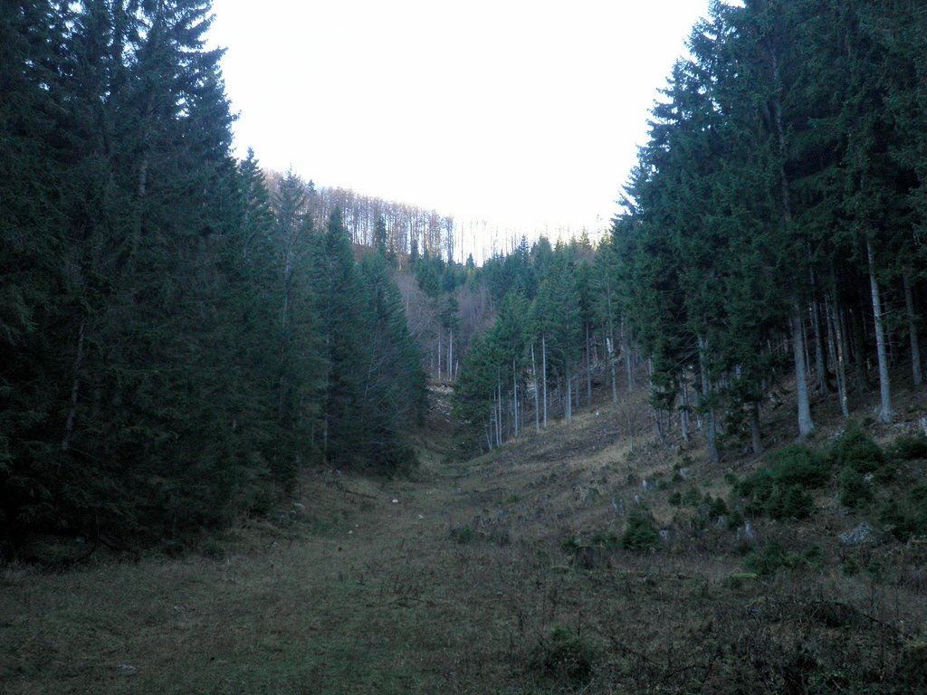 PB140011.JPG