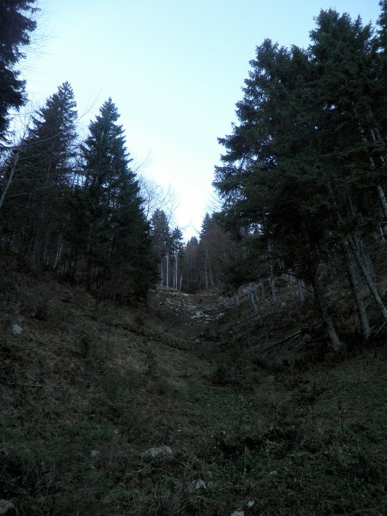 PB140012.JPG