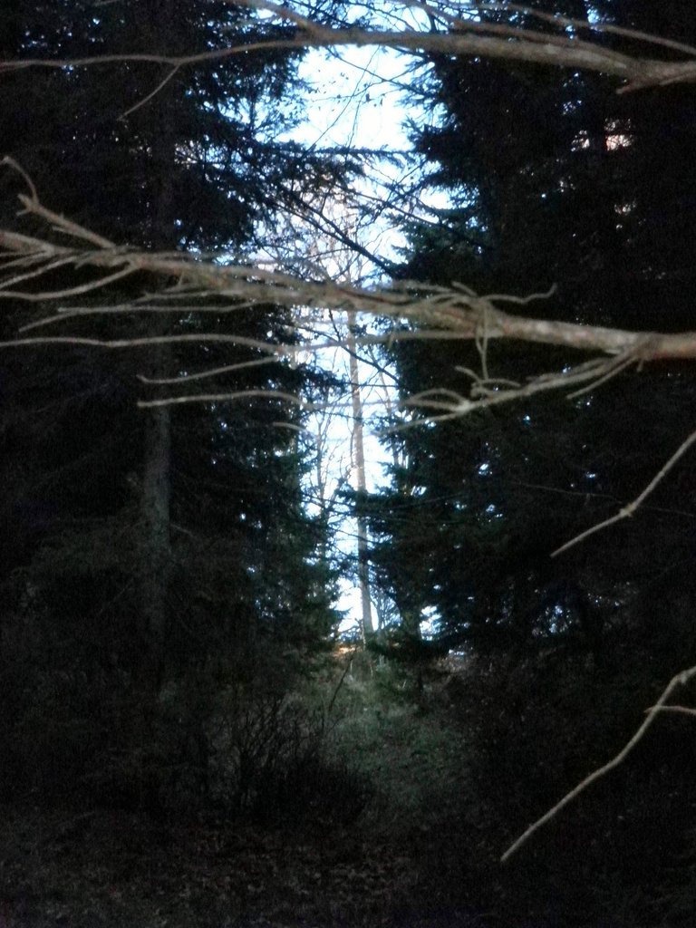 PB140016.JPG
