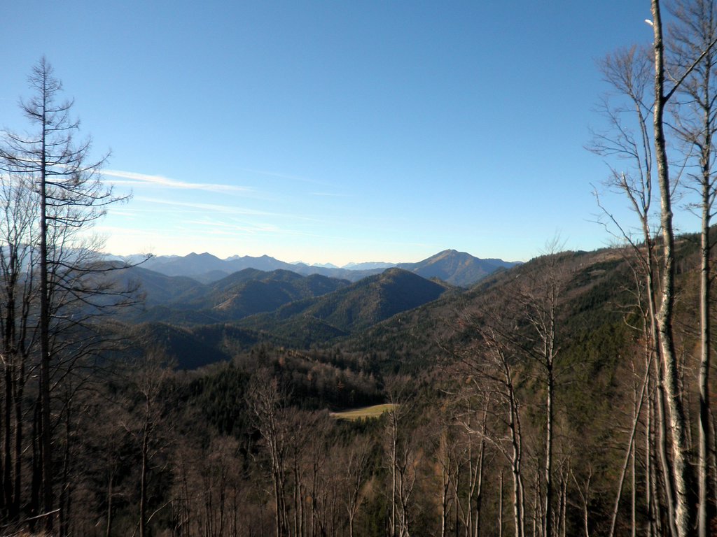 PB140019.JPG