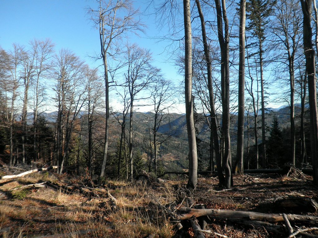 PB140021.JPG