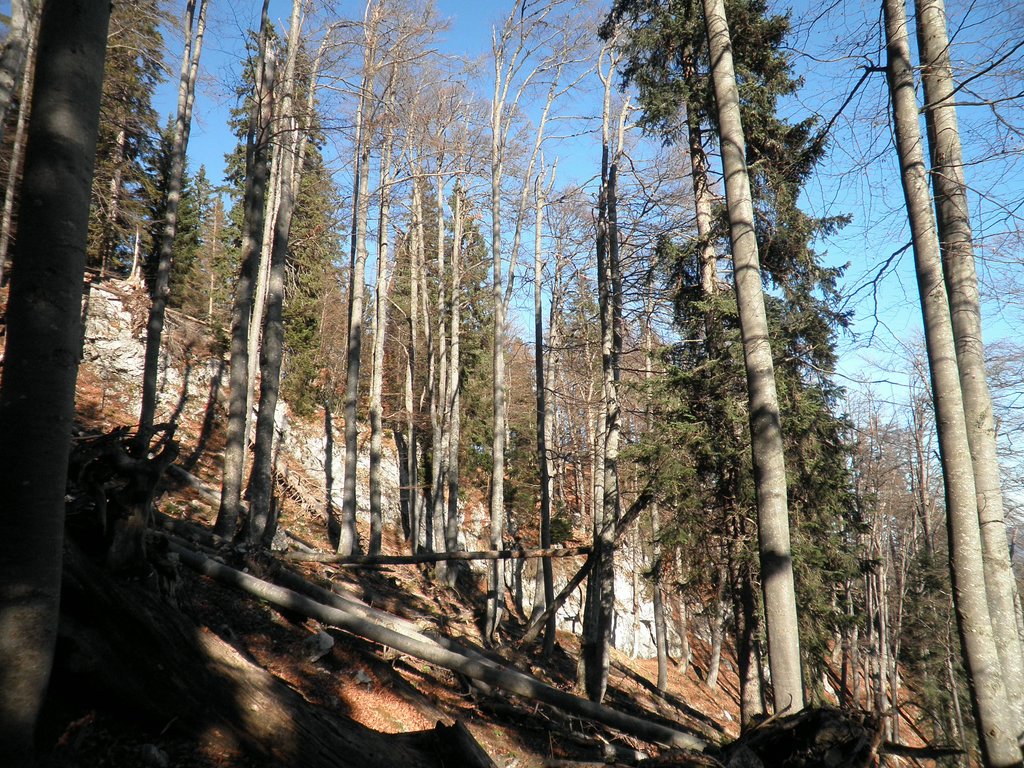 PB140025.JPG