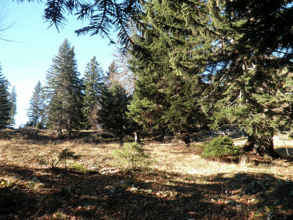 PB140027.JPG