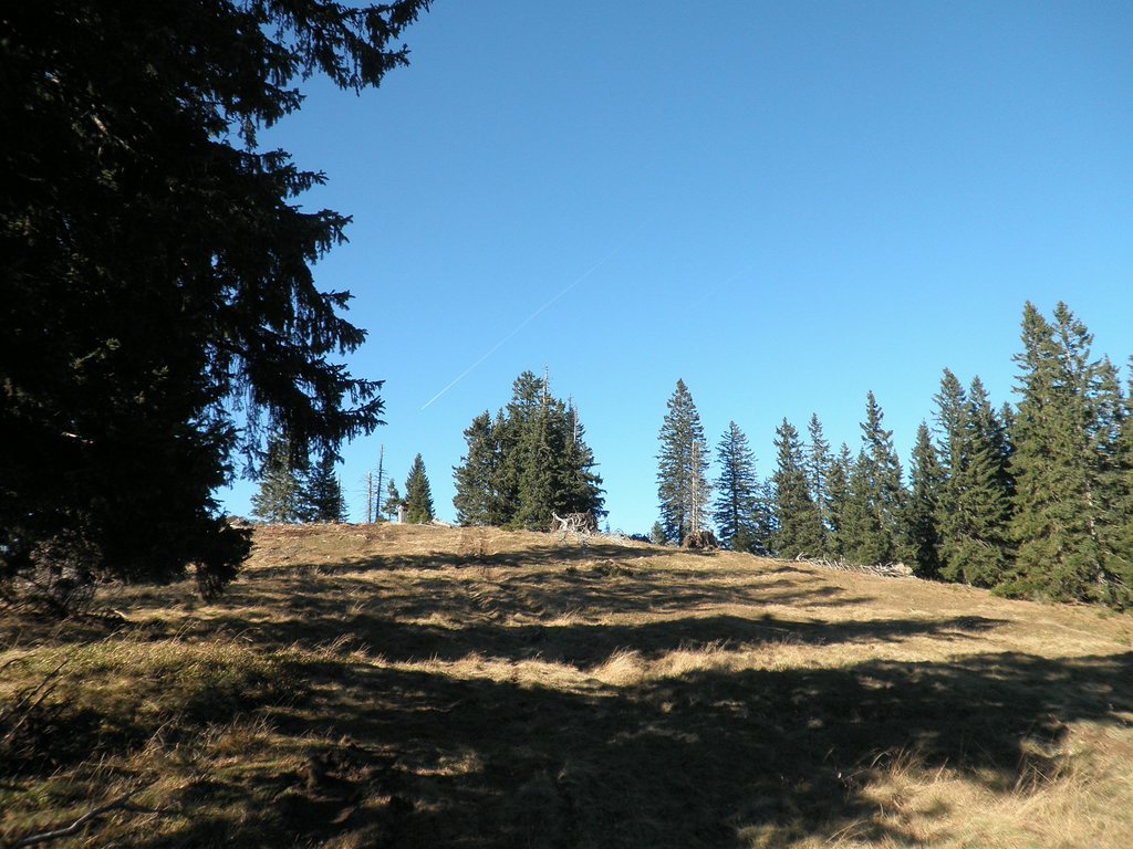 PB140028.JPG