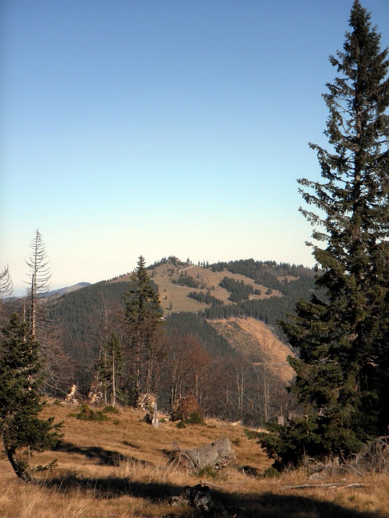 PB140029.JPG