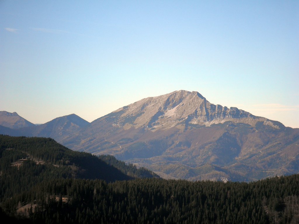 PB140036.JPG