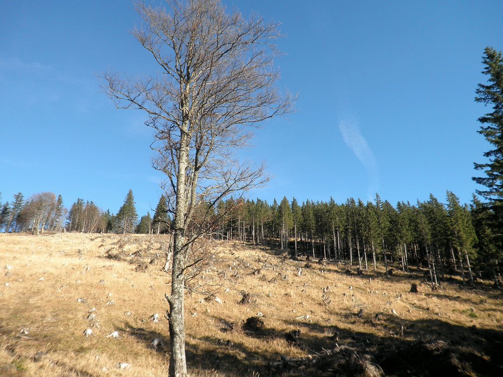 PB140045.JPG