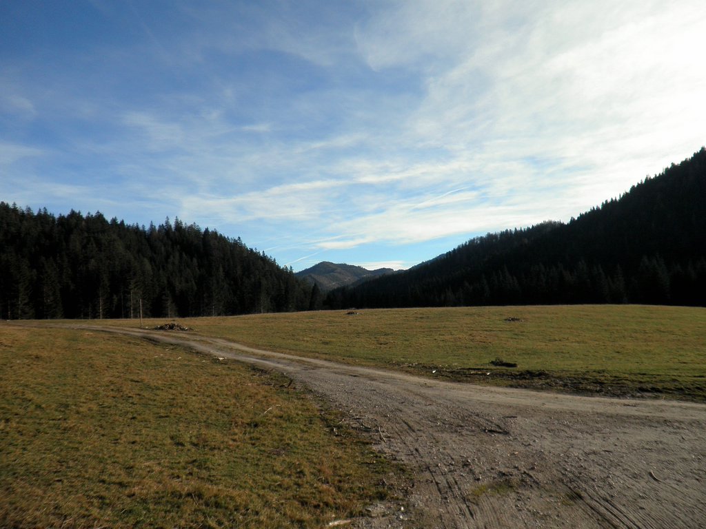 PB140053.JPG