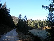 PB140006.JPG