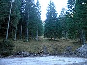 PB140010.JPG