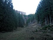 PB140011.JPG