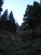PB140012.JPG