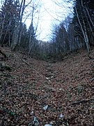 PB140015.JPG