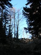 PB140018.JPG