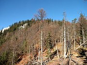 PB140020.JPG