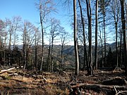 PB140021.JPG