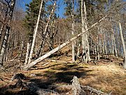 PB140023.JPG