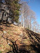 PB140024.JPG