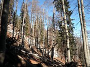 PB140025.JPG