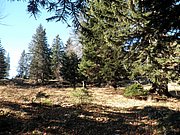 PB140027.JPG