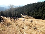 PB140043.JPG
