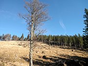 PB140045.JPG
